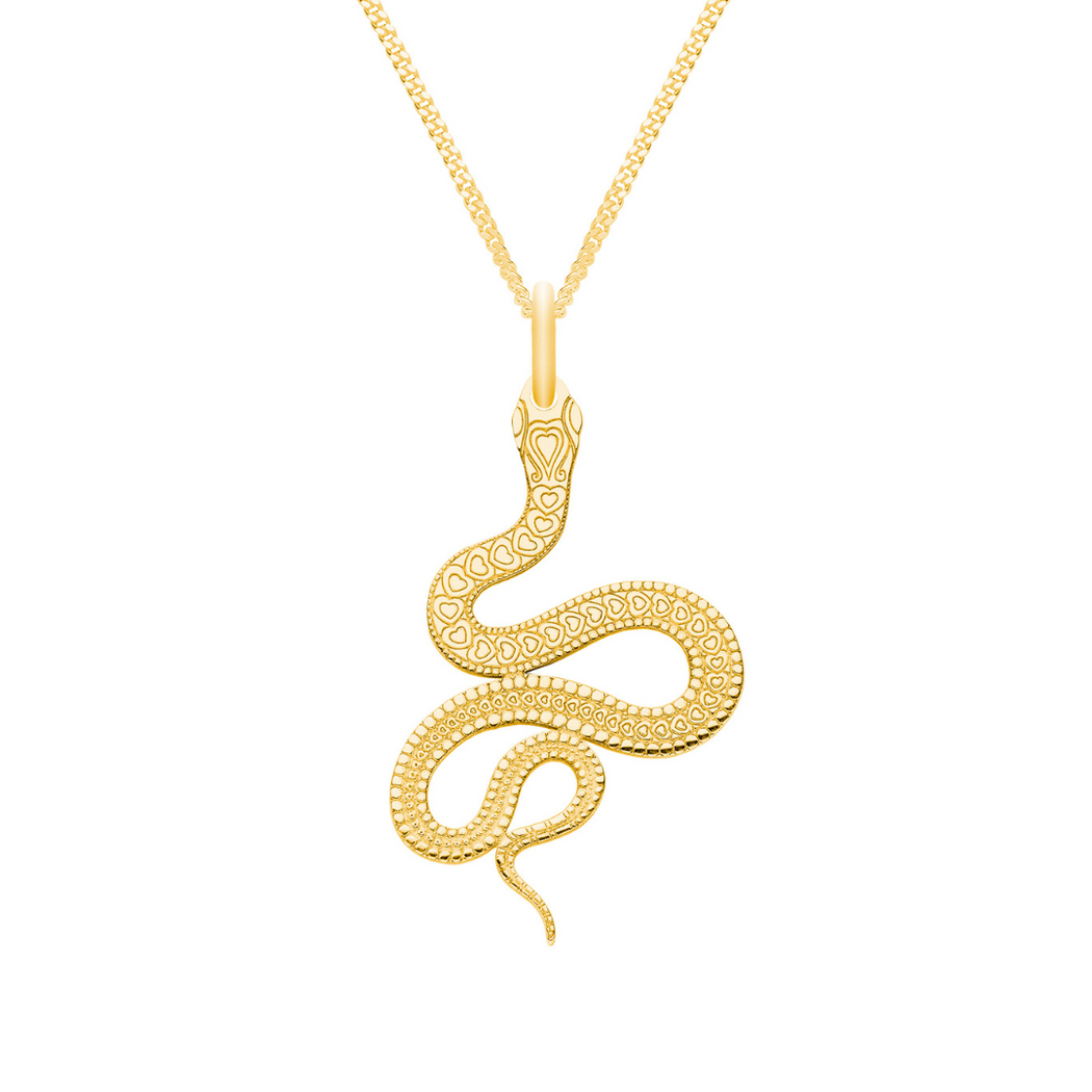 Necklace with 2025 snake pendant
